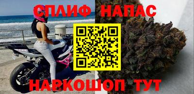 шишки Можга