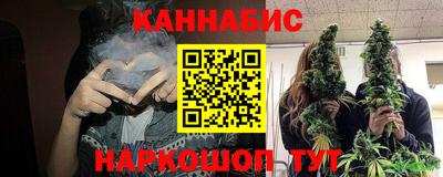 шишки Можга