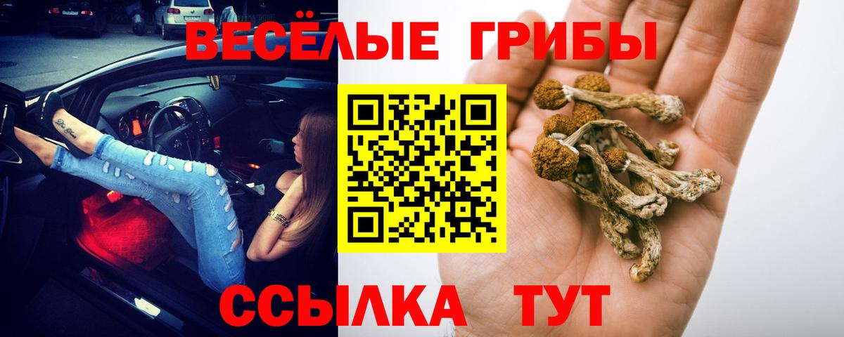 Галлюциногенные грибы ЛСД  Вход с VPN  Арзамас 